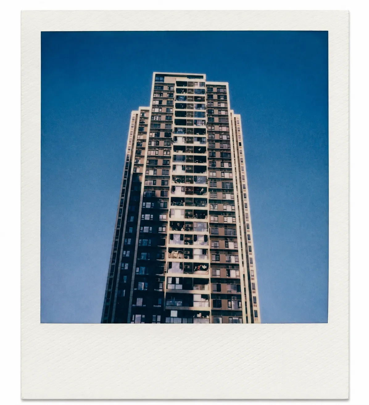 Shot on SX-70 1